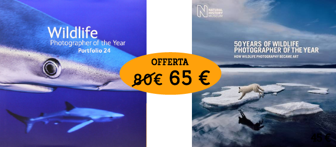 Offerta-24-e-50