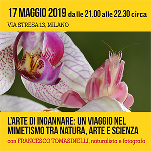Indo incontri