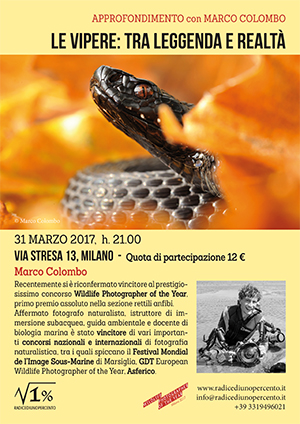 incontro-sulla-vipera-web