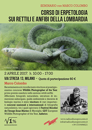 seminario-di-erpetologia-web