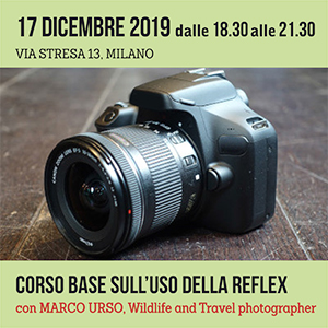 Locandina Corso Reflex