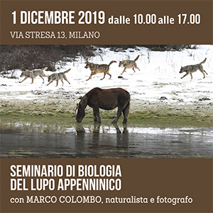 Locandina seminario Lupo