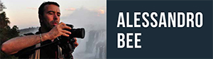 Alessandro Bee 300x83 pixel