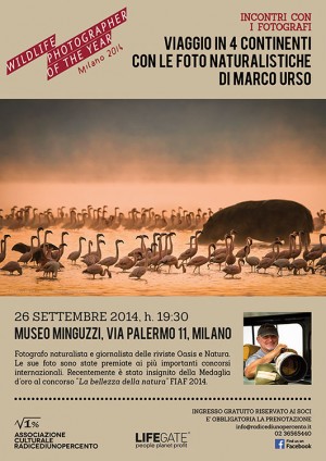 Viaggio in 4 continenti 2014