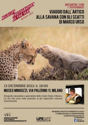 savana 2013