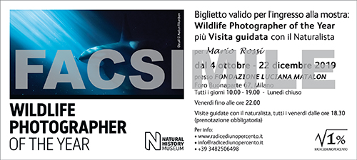 Siti di incontri che accettano carte regalo
