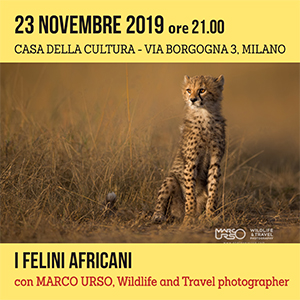 Locandina Incontro Marco Urso WPY 300x300 pixel