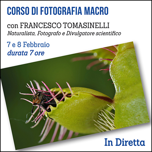 shop_corso_macro_tomasinelli_live_2024_500x500_pixel