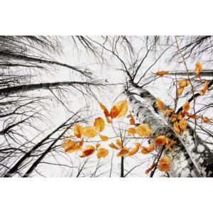 L'ultimo autunno - Marco Colombo