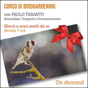Corso di Birdgardening