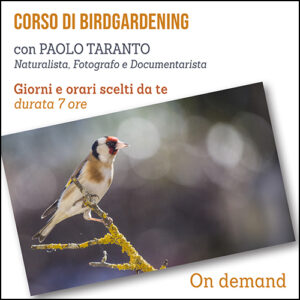 Corso di Birdgardening