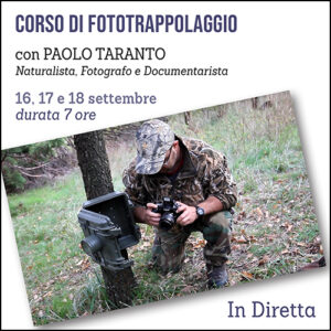 Corso di Fototrappolaggio