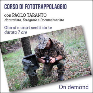 Corso di Fototrappolaggio