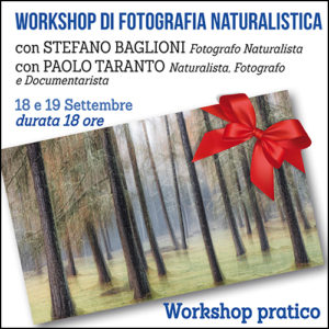 Workshop pratico di fotografica naturalistica: Badia di Moscheta