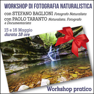 Workshop pratico di fotografica naturalistica: Badia di Moscheta