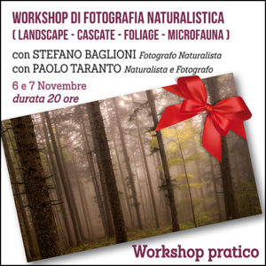 Workshop pratico di Fotografia Naturalistica (Landscape - Cascate - Foliage - Microfauna)