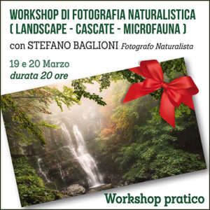 Workshop pratico di Fotografia Naturalistica (Landscape - Cascate - Microfauna)