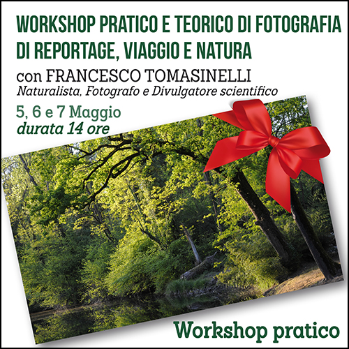 buono_regalo_workshop_ticino_tomasinelli_500x500_pixel