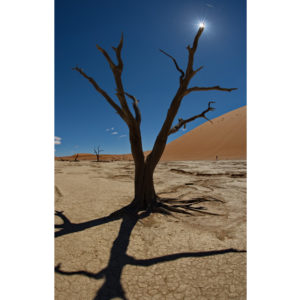 Namib Naukfluft - Francesco Tomasinelli