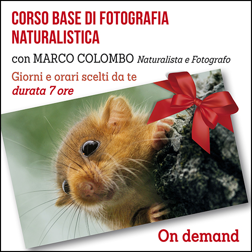 buono_regalo_corso_base_naturalistica_500x500pixe