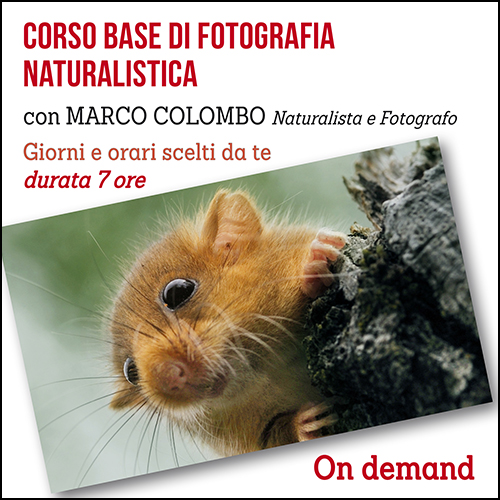 shop_corso_base_naturalistica_500x500pixe