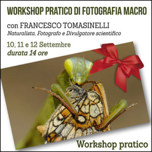 Workshop pratico di Fotografia Macro - Parco Ticino