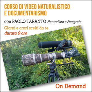 Corso di Video Naturalistico e Documentarismo