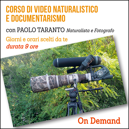 shop_corso_documentarismo_naturalistico_500x500pixel