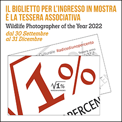 Acquista Biglietto