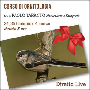 Corso di Ornitologia