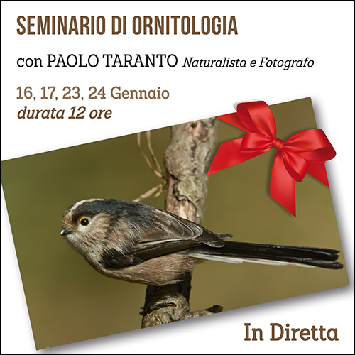 buono_regalo_ornitologia_500x500pixel