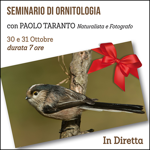 buono_regalo_ornitologia_live_500x500pixel