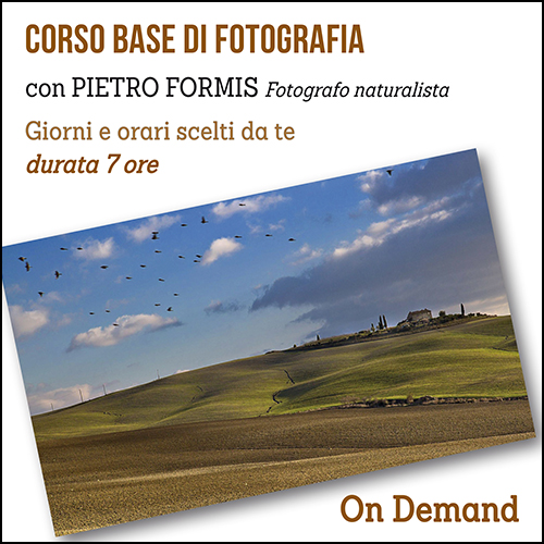 shop_corso_base_formis_on_demand_500x500pixel