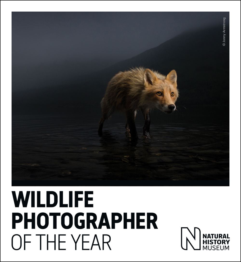 Wildlife Photographer of the Year – Milano 2022