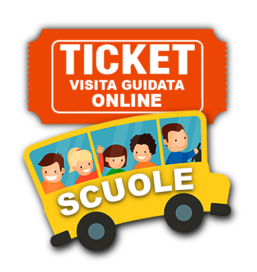 Ticket Visita guidata online scuole