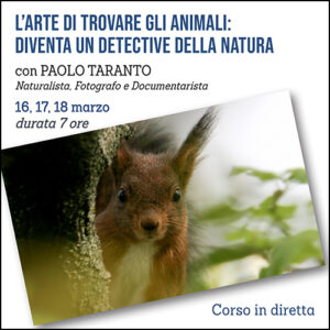 Corso: L'arte di trovare gli animali (diventa un detective della natura)