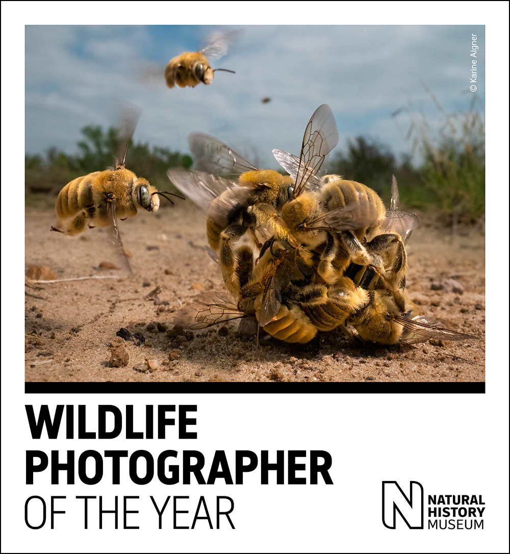 Wildlife Photographer of the Year – Milano 2023