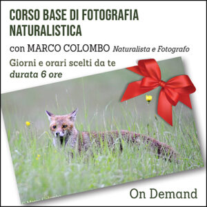 Corso Base di Fotografia Naturalistica
