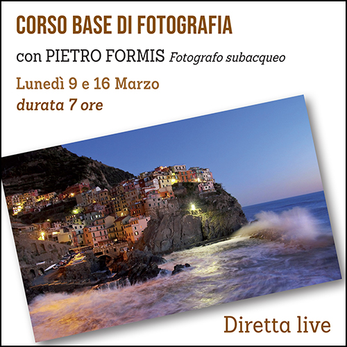 Corso base Formis shop 500×500 pixel