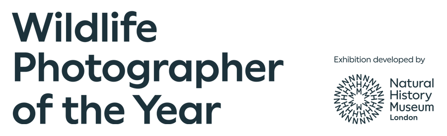 Logo WPY e NHM 900x275 pixel per homepage