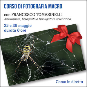 Corso di Fotografia Macro