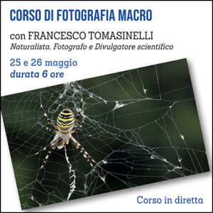 Corso di Fotografia Macro