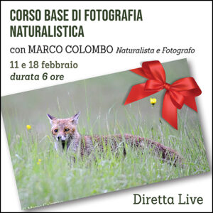 Corso Base di Fotografia Naturalistica