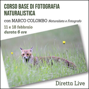Corso Base di Fotografia Naturalistica