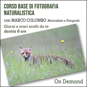 Corso Base di Fotografia Naturalistica