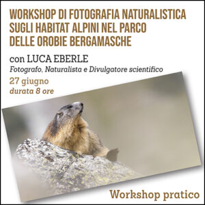 Workshop di fotografia naturalistica, gli Habitat alpini delle Orobie Bergamasche