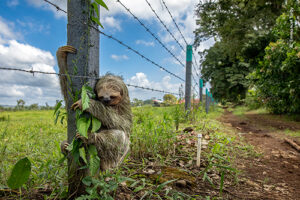 61° Wildlife Photographer of the Year – Milano 2025 - Associazione ...