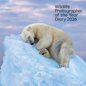 Agenda da scrivania Wildlife Photographer of the Year 2026