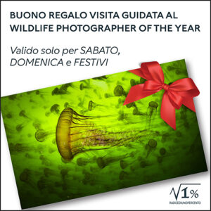 Buono regalo Visita guidata SABATO, DOMENICA, FESTIVI
