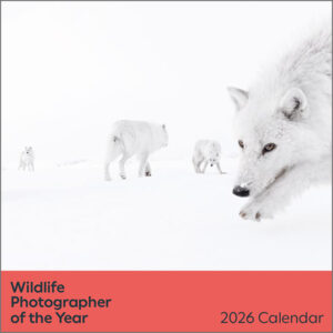 Calendario Wildlife Photographer of the Year 61° 2026
